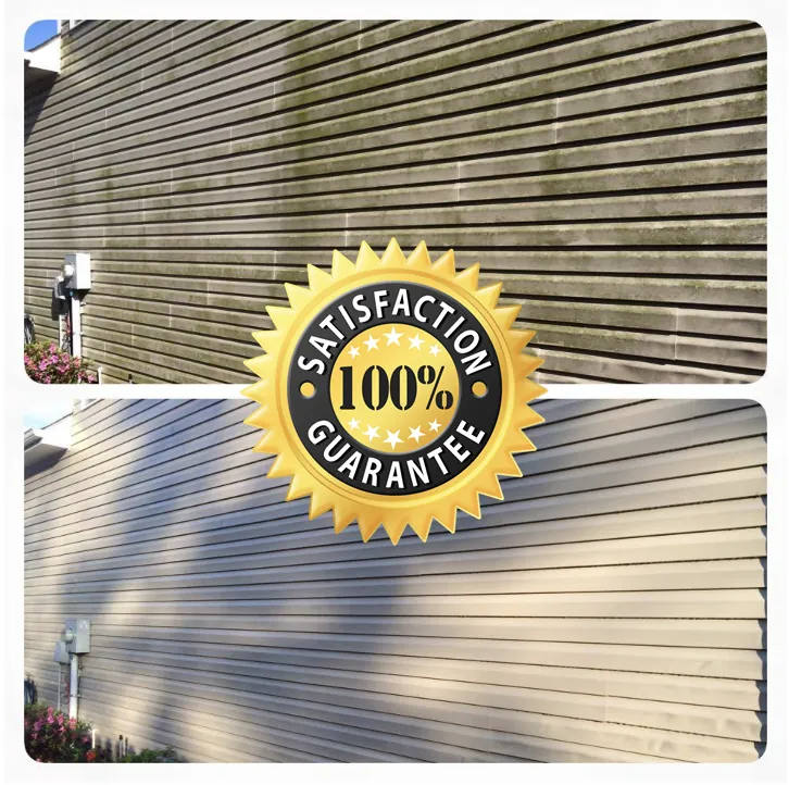 House siding soft wash — green algae vs clean restored vinyl siding